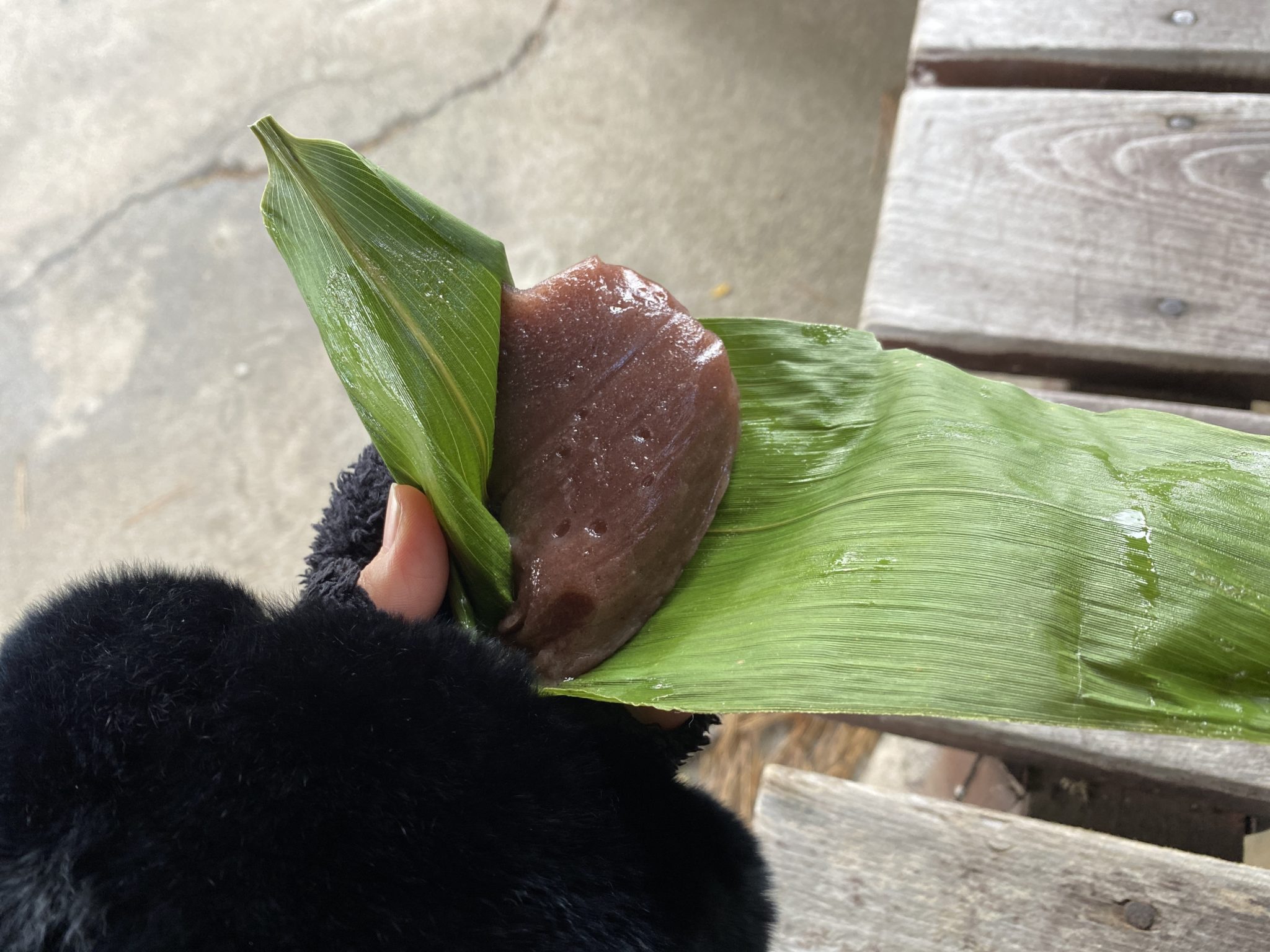 〜年間5万個をひとりで作る〜餅ばあちゃんの笹餅求めて津軽まで行ってきた｜かるメディア